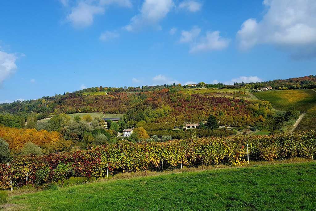 monferrato